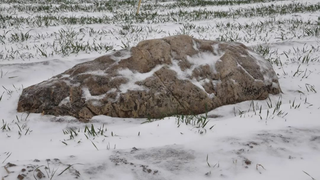 La colina más bajita de China mide medio metro y parece una piedra<em></em>